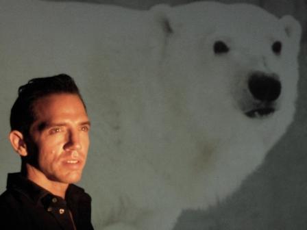 Swimming with the Polar Bears, Still by Tony Wandell